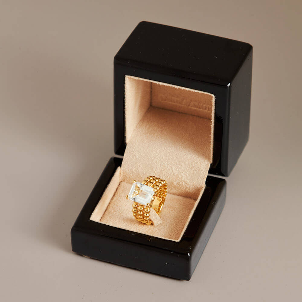 Anel Aninha - Imagem 4