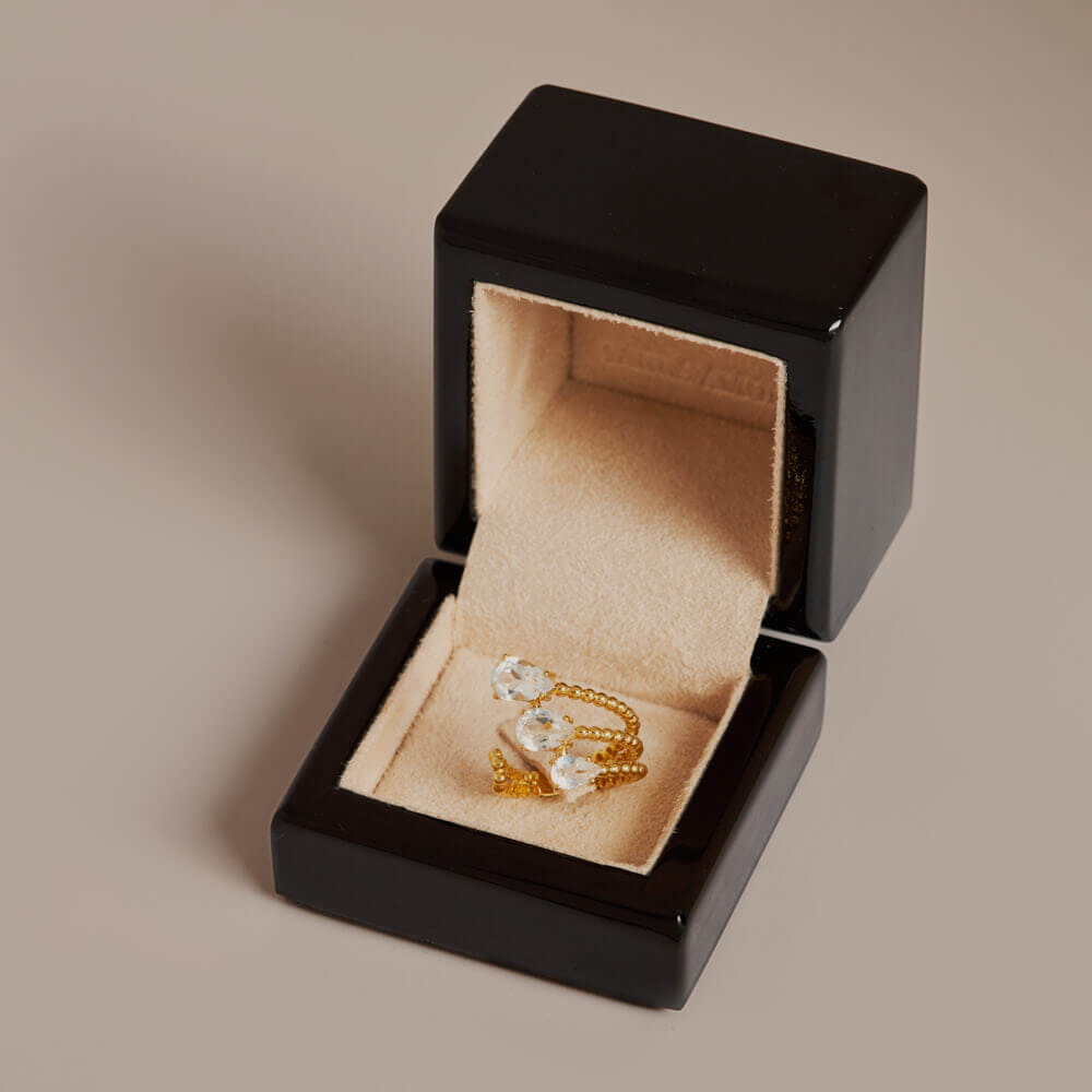 Anel Caminho das Águas - Imagem 3