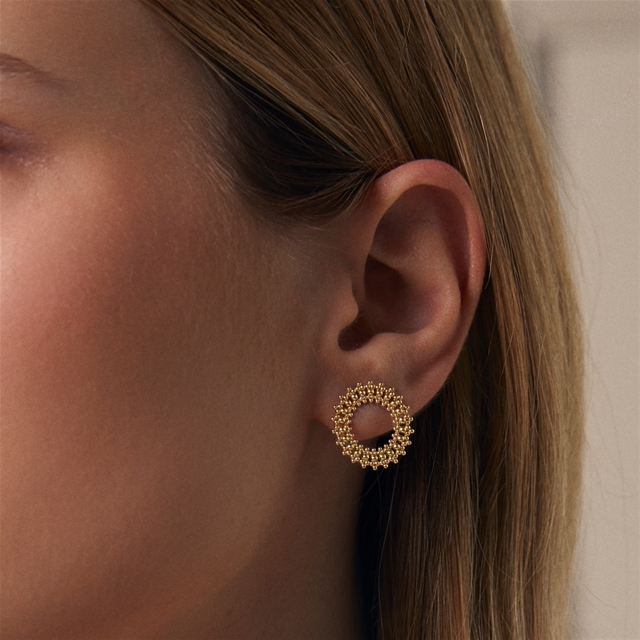 Brinco Circular Petit - Imagem 3